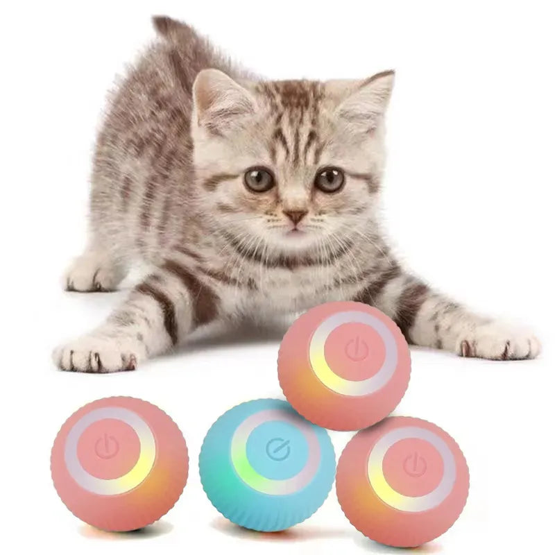 Bola de brinquedo para gatos